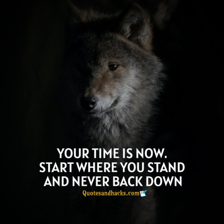 Wolf motivational quotes