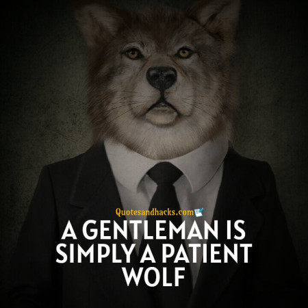 Wolf motivational quotes