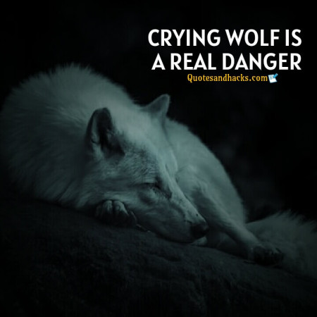 Wolf motivational quotes