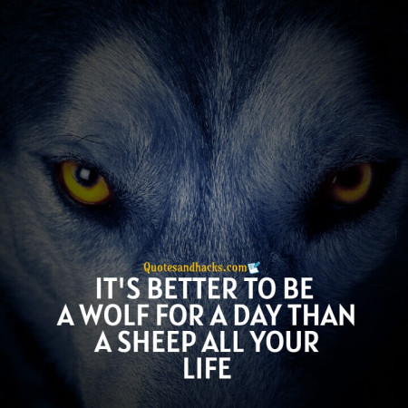 Wolf motivational quotes