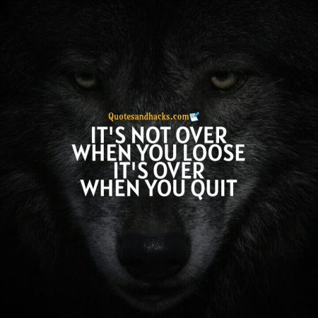 Wolf motivational quotes