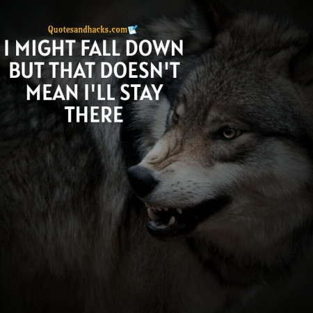 Wolf motivational quotes