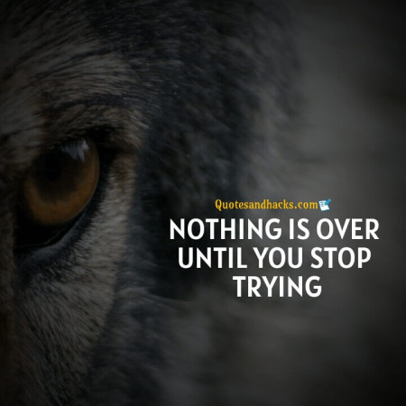 Wolf motivational quotes