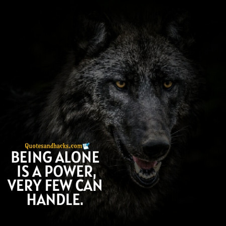 Wolf motivational quotes