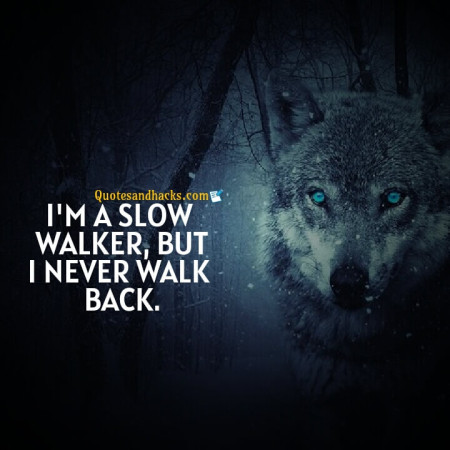 Wolf motivational quotes