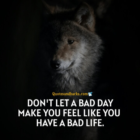 Wolf motivational quotes