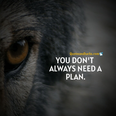 Wolf motivational quotes