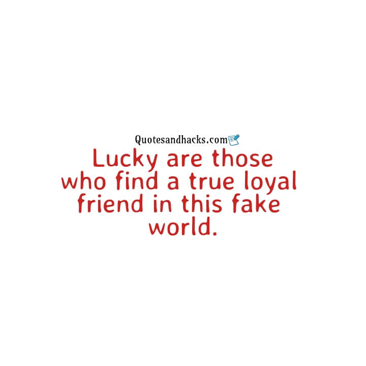 Fake friends quotes