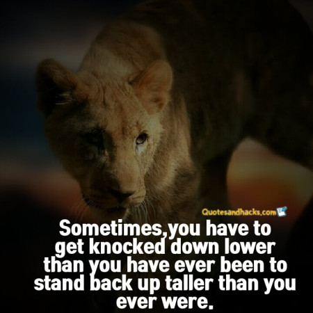 Come back stronger quotes