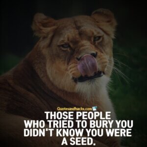 25 Best come back stronger quotes - Quotes and Hacks