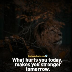 25 Best Come Back Stronger Quotes