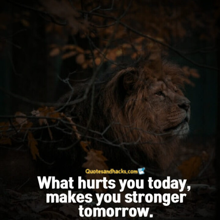 Come back stronger quotes
