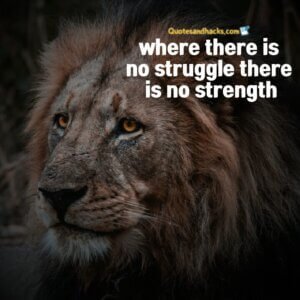 25 Best come back stronger quotes - Quotes and Hacks