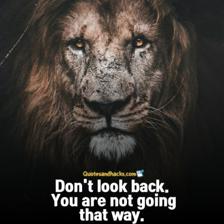 Come back stronger quotes