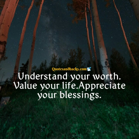 worth quotes