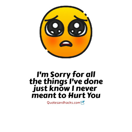 Sorry quotes