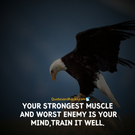 Eagle quotes success