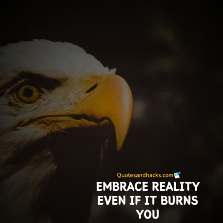 Eagle quotes success