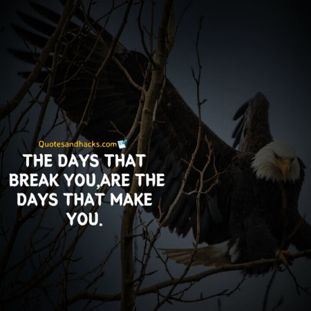 Eagle quotes success