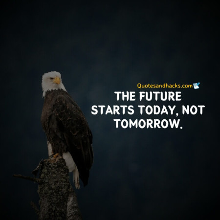 Eagle quotes success