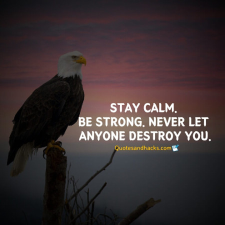 Eagle quotes success