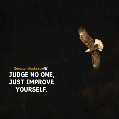 Eagle quotes success