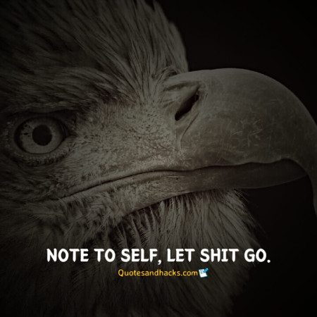 Eagle quotes success