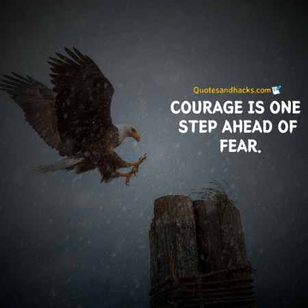 Eagle quotes success