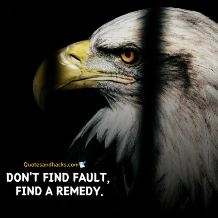 Eagle quotes success