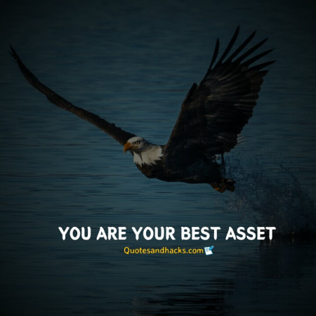 Eagle quotes success