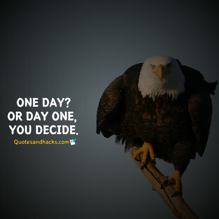 Eagle quotes success