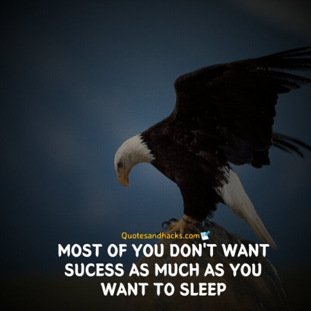 Eagle quotes success