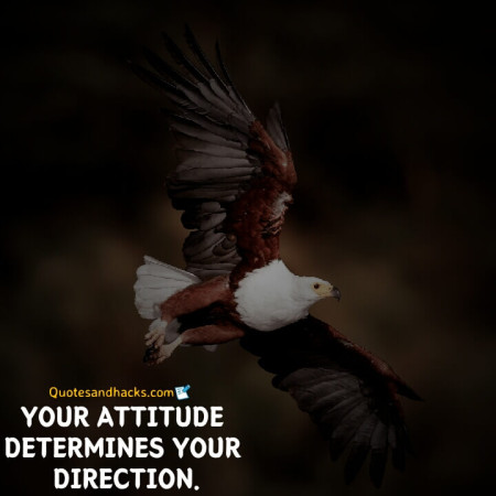 Eagle quotes success