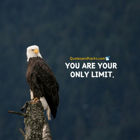 Eagle quotes success