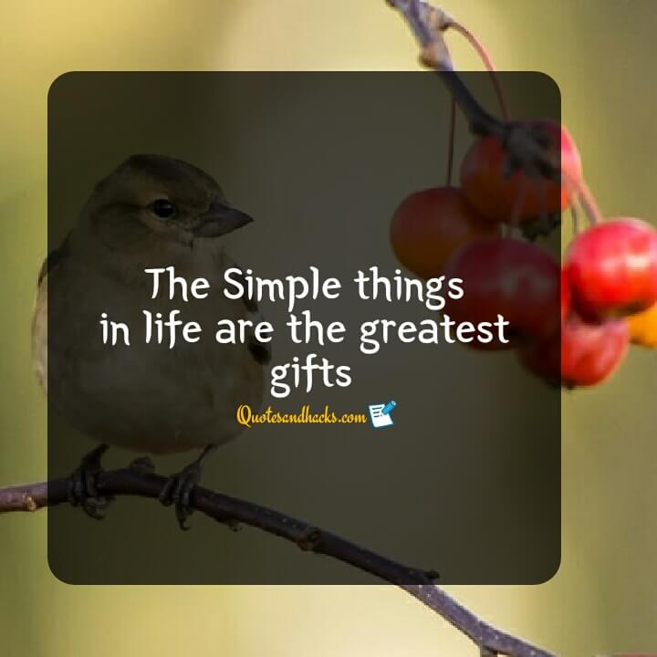 simple quotes on life