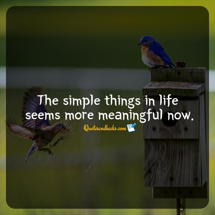 simple quotes on life