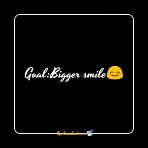 30 Simple quotes for bio - Quotes and Hacks