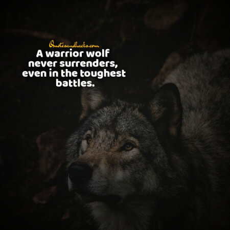 Lone wolf quotes