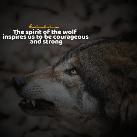 Lone wolf quotes