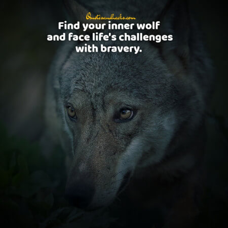 Lone wolf quotes