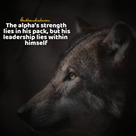 Lone wolf quotes