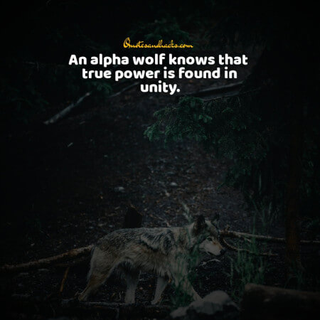 Lone wolf quotes