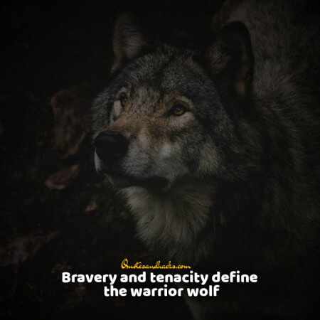 Lone wolf quotes