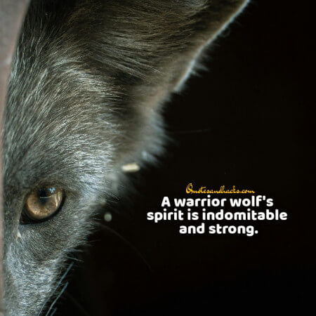 Lone wolf quotes