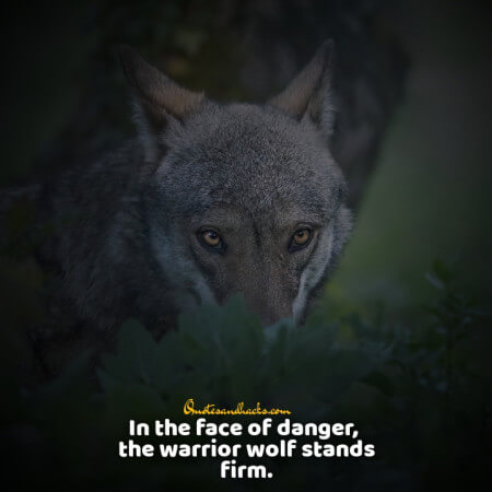 Lone wolf quotes