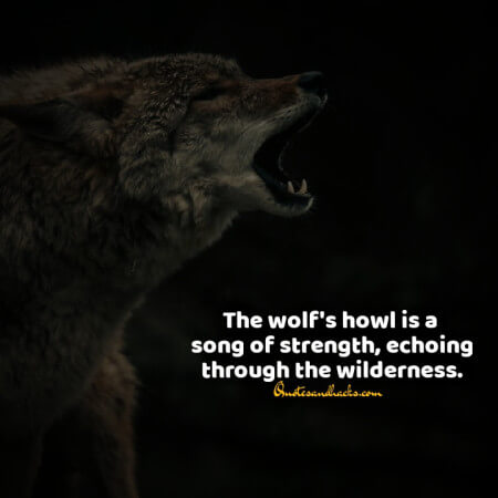 Lone wolf quotes